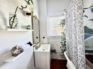 Shower, hair dryer, shampoo