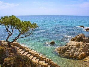 Water, Sky, Cloud, Plant, Ecoregion, Azure, Natural Landscape, Tree, Wood, Horizon