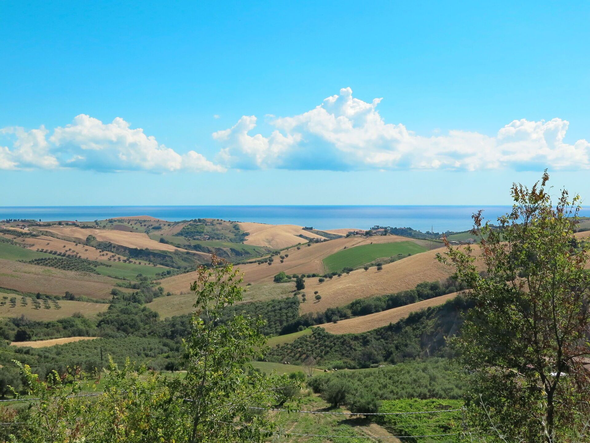Ein weiter Panoramablick über sanfte Hügel mit einer fernen Küstenlinie unter blauem Himmel.