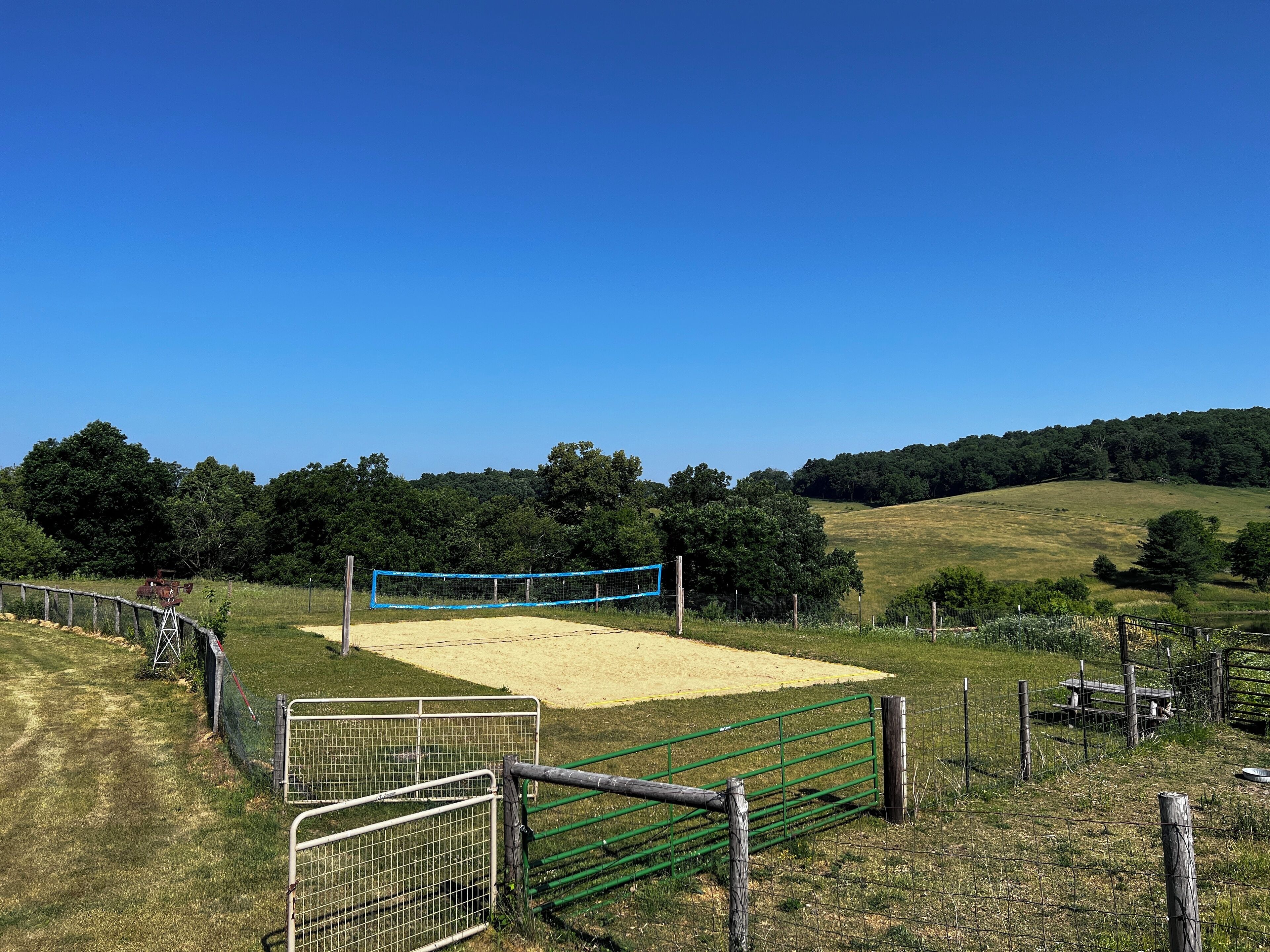 Ein Volleyballfeld mit Netz, umgeben von einem Zaun und einer Rasenfläche.