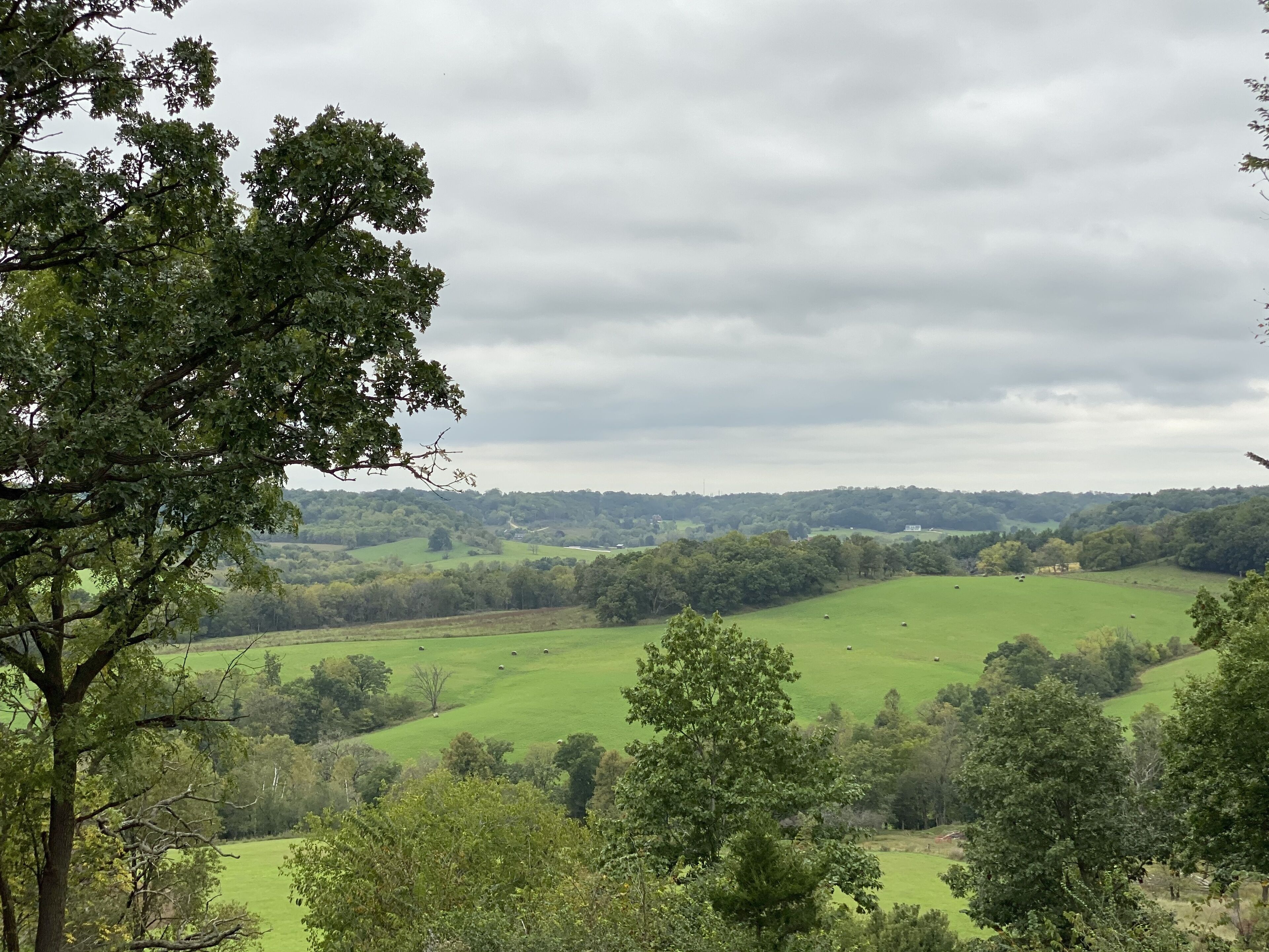 A rural landscape with rolling green hills and scattered trees.