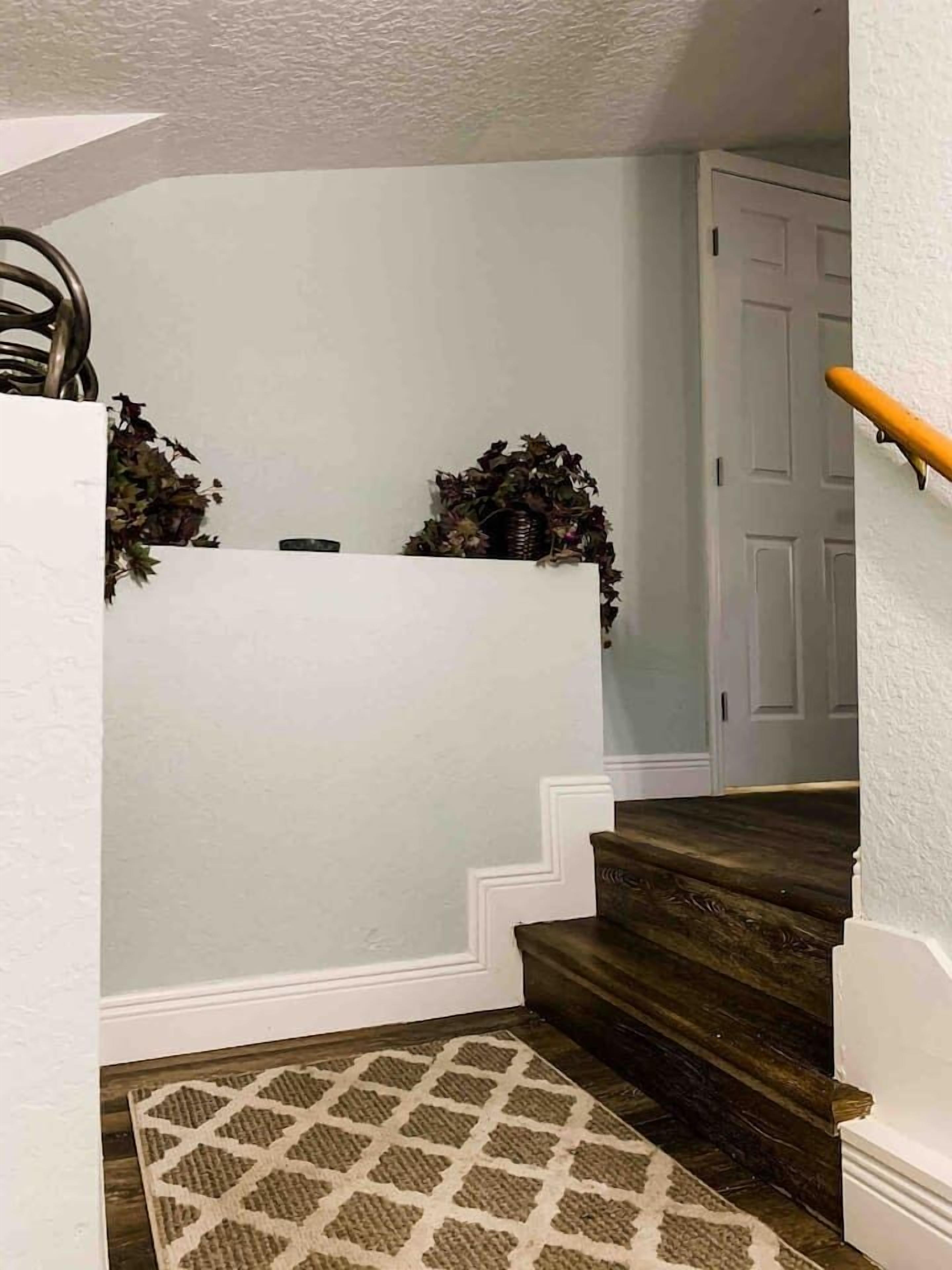 A staircase with dark wooden steps, white walls, and a beige patterned rug at the bottom.