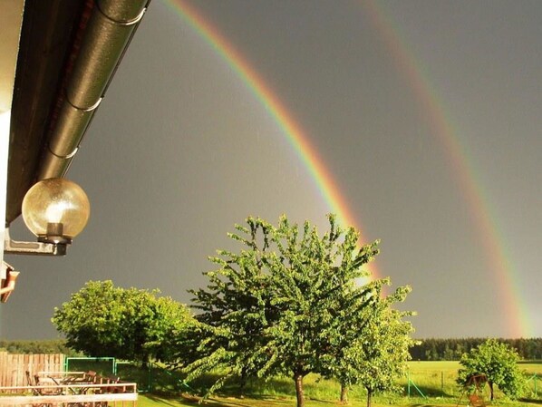 تفاصيل الفندق من الداخل