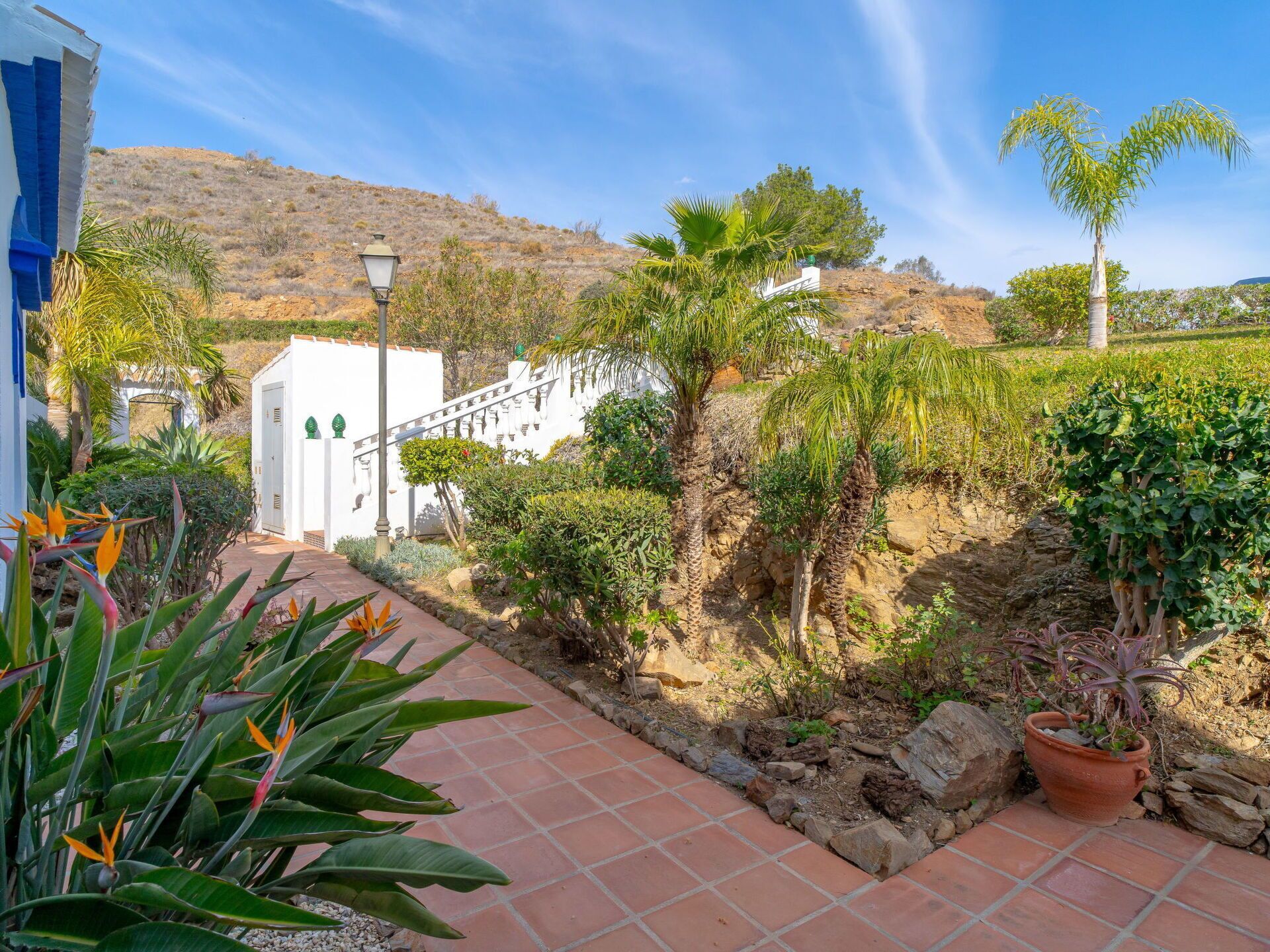 A pathway leading to a white building with a staircase, surrounded by various plants and a hillside in the background.