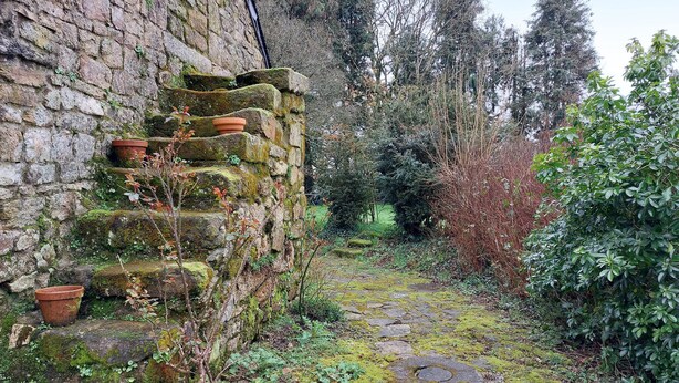Un chemin de pierre qui traverse un jardin rustique, avec des marches recouvertes de mousse et des plantes en pot.