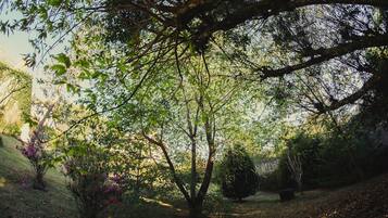 Área da propriedade