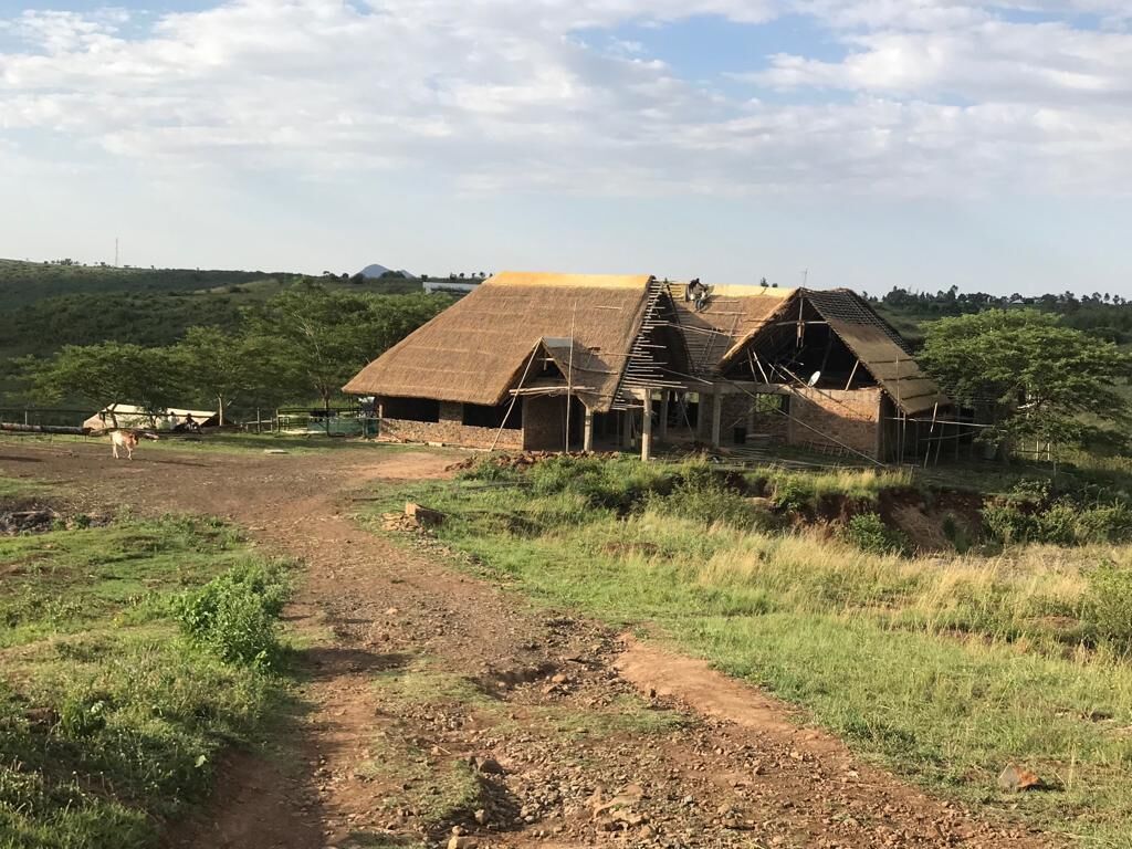 Un bâtiment rustique avec un toit de chaume, entouré d’une zone herbeuse et d’un chemin de terre.
