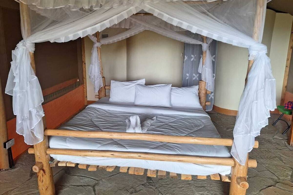 A bed with a wooden frame and a canopy, a mattress, and pillows.