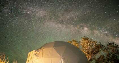 Capitol Reef Dome | Yucca