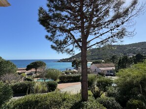 Oklassificerad bild, 4 av 26, knapp