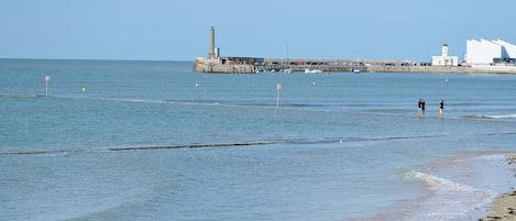 Vissen