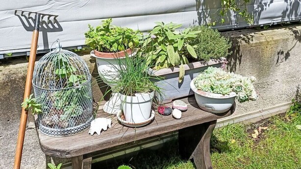 Een tuinbank met potplanten en tuingereedschap.