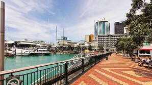 A marina with boats, a dock, and a pedestrian walkway with a railing. - Viaduct`s Hidden Gem (Auckland)