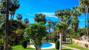 Un jardin bien entretenu avec une piscine, entouré de palmiers et d’une végétation luxuriante.