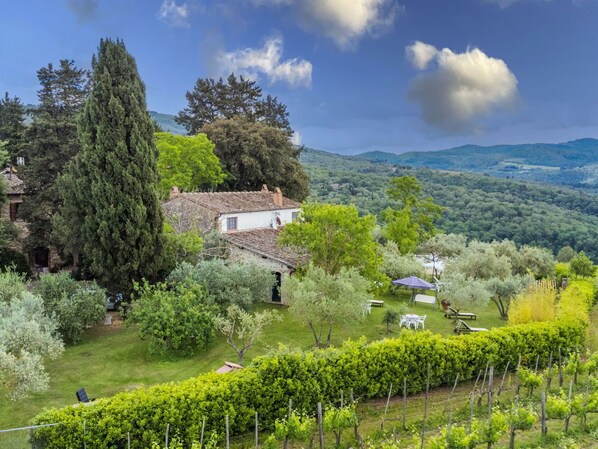 المنشأة من الخارج