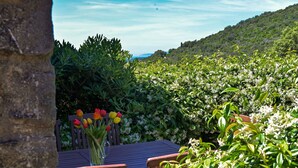 A wooden table with chairs, a vase of tulips, and a view of a lush garden and hills in the background. - Cosy apartment for 6 people with pool, WIFI, TV, terrace and pets allowed (Castiglione Della Pescaia)
