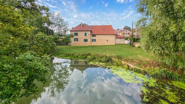 A house with a red roof, surrounded by a grassy area and a pond with lily pads.