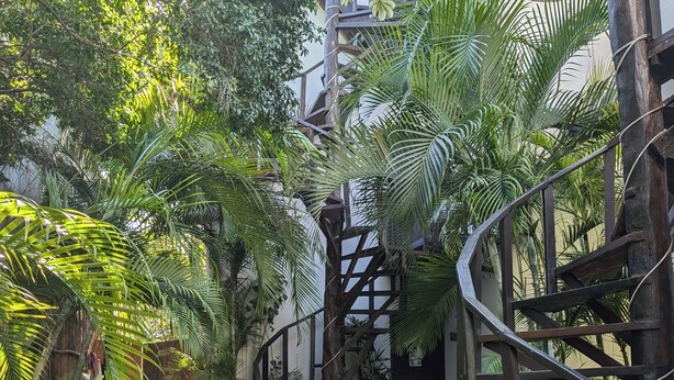 A courtyard with a spiral staircase, a wooden bench, and various tropical plants.