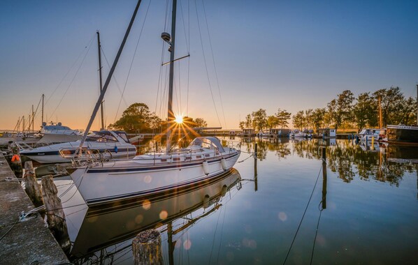 Marina