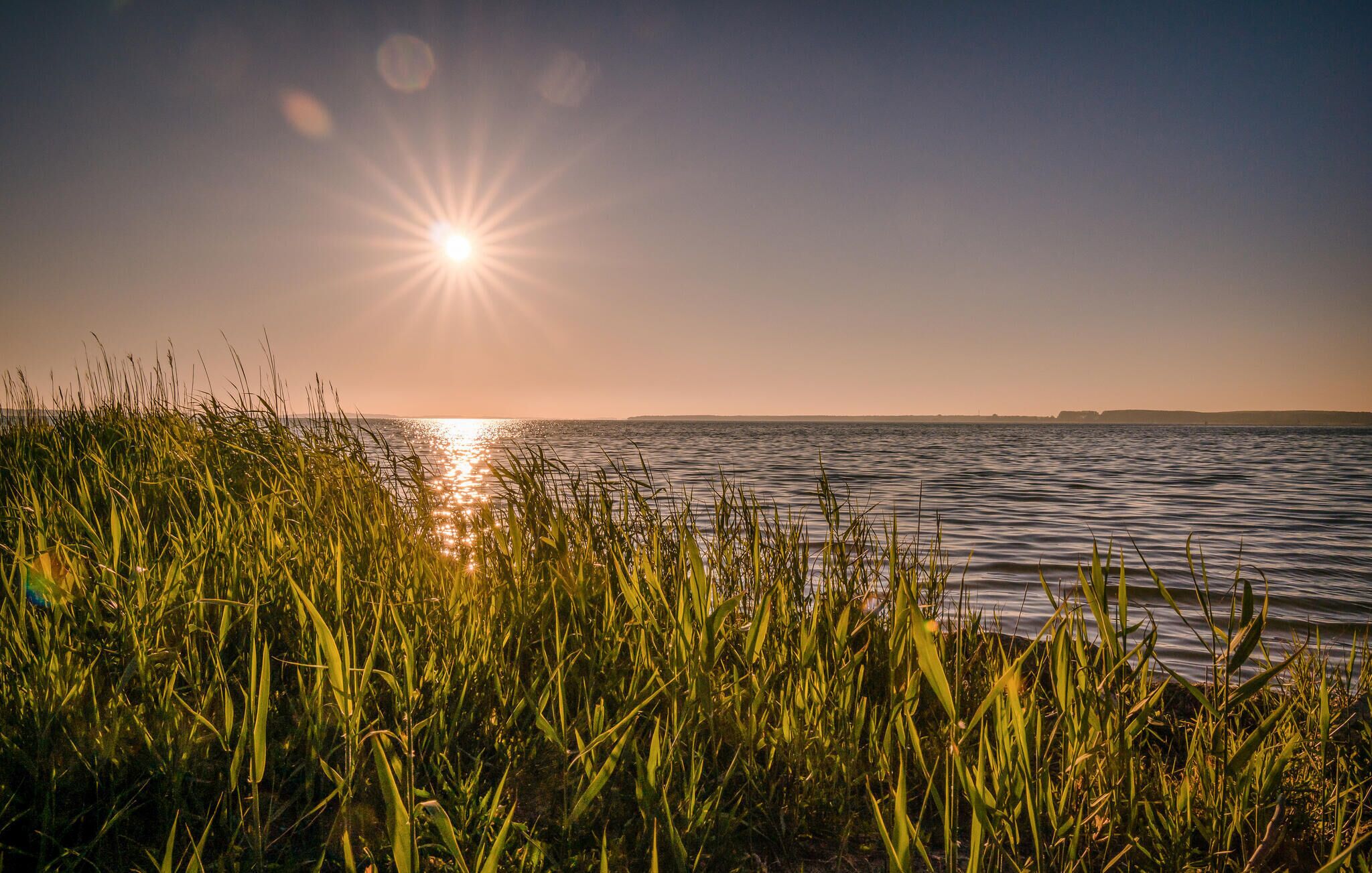 Un coucher de soleil sur une étendue d’eau calme, avec de l’herbe au premier plan.