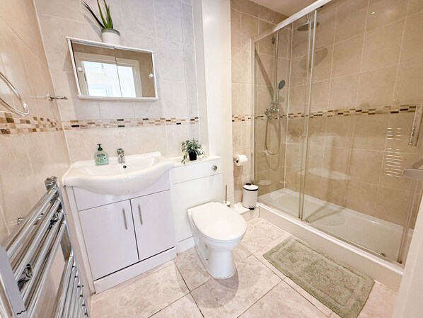 Eco-friendly toiletries, hair dryer, towels