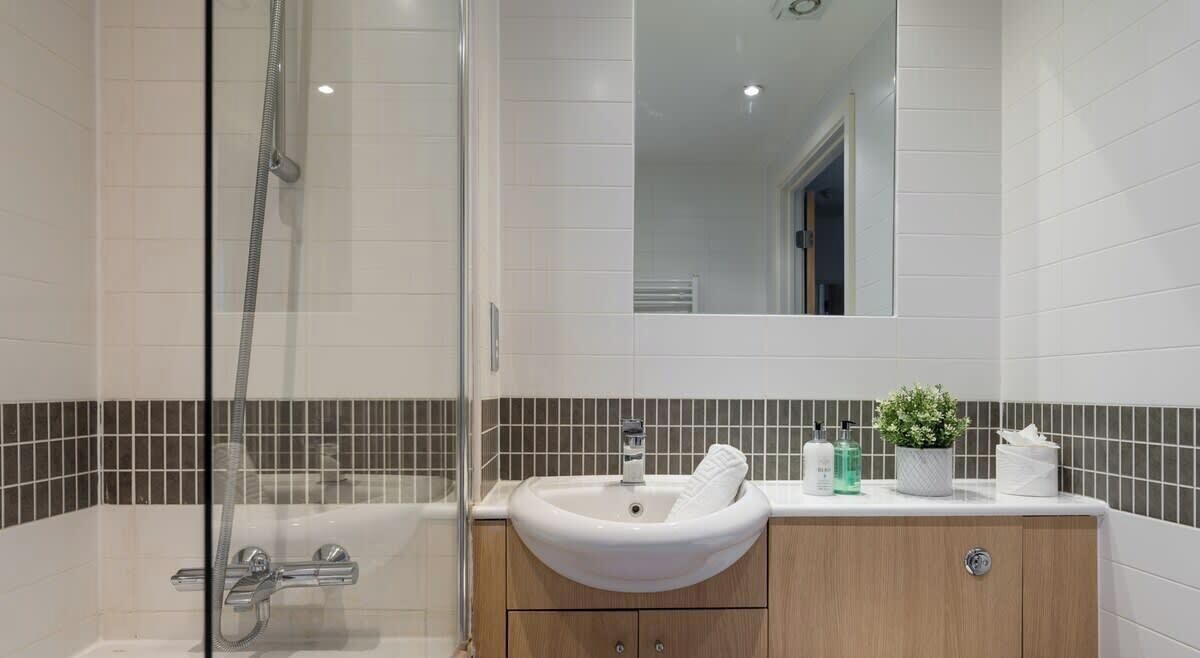 Shower, hair dryer
