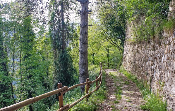 A forested hiking trail with a wooden fence and a rocky cliff. - Awesome apartment in Verni (LU) with WiFi (Verni)