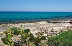 Playa en los alrededores y pesca 