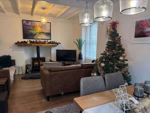 TV, fireplace, books