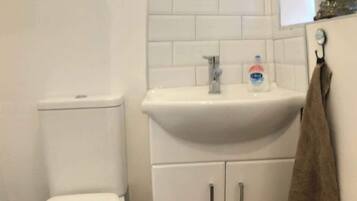 Shower, hair dryer