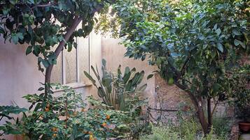 DĂ©tail de lâextĂ©rieur