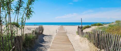 Playa
