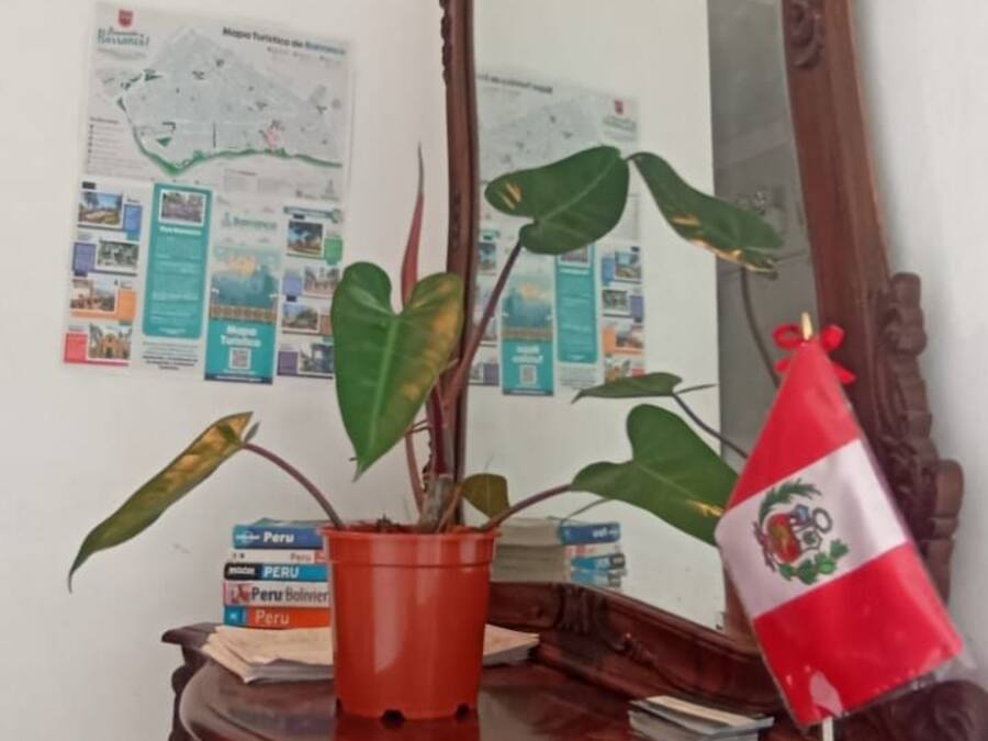 A wooden desk with a mirror, a potted plant, and a flag.