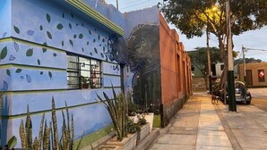 A building with a blue facade featuring leaf patterns and a mural of a face. - Casita Libertad Barranco (Lima)