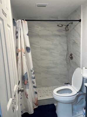 Combined shower/bathtub, hair dryer, bidet, towels - ZenHomes in Tampa near Busch Gardens (Tampa)