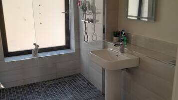 Shower, hair dryer, towels