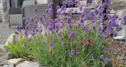 Cozy, comfortable cottage on an alpaca farm