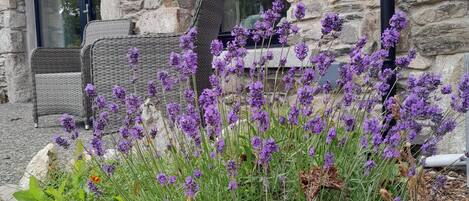 DĂ©tail de lâextĂ©rieur