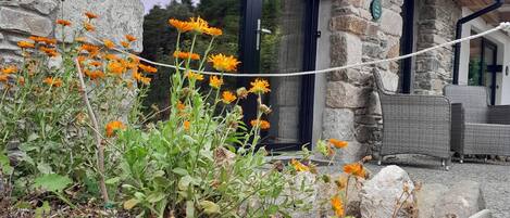 DĂ©tail de lâextĂ©rieur