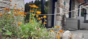 Cozy, comfortable cottage on an alpaca farm