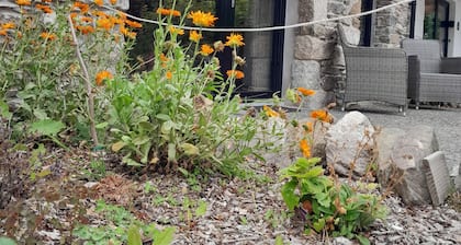 Cozy, comfortable cottage on an alpaca farm