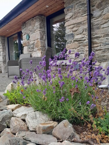 Cozy, comfortable cottage on an alpaca farm