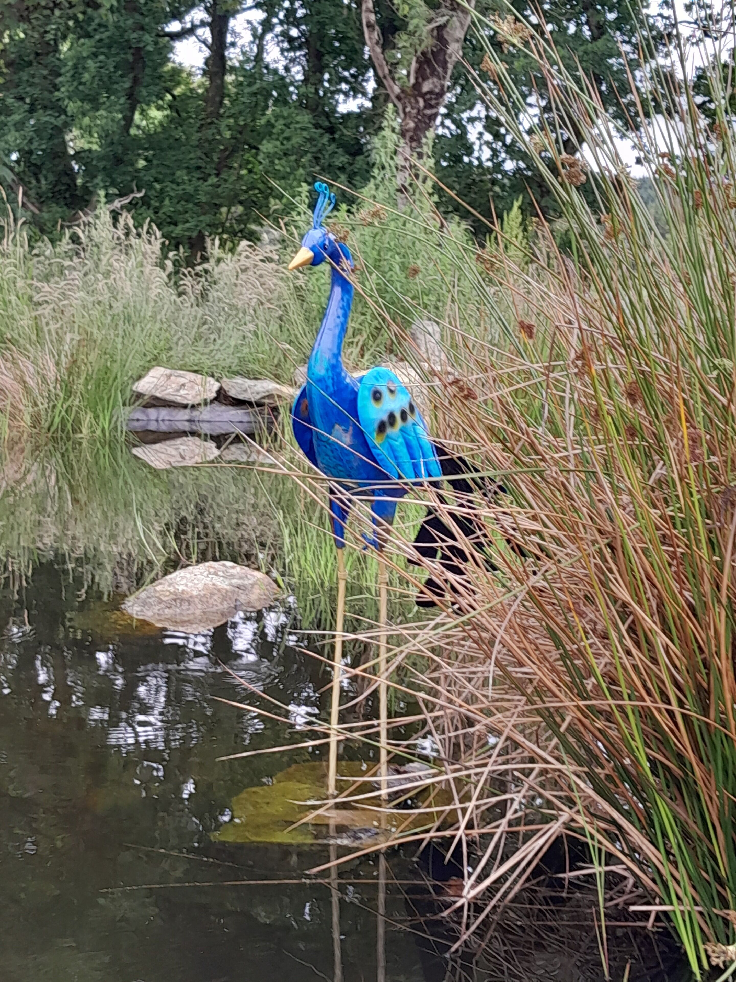 Diversos