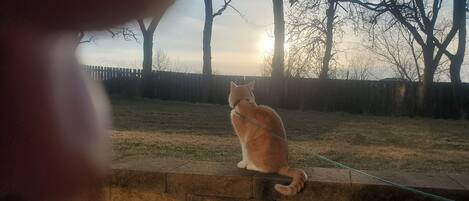 Enceinte de l’hébergement