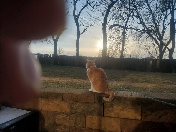 Property grounds - Roommate, yes I'll be lurkingvabout (Brunswick)