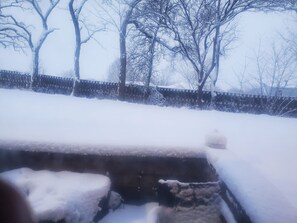 Property grounds - Roommate, yes I'll be lurkingvabout (Brunswick)