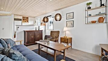 TV connectée, cheminée