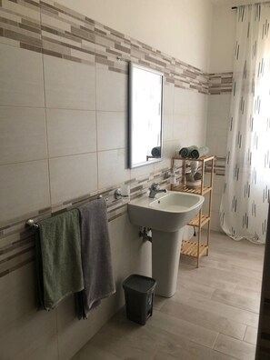 Shower, hair dryer, bidet, towels