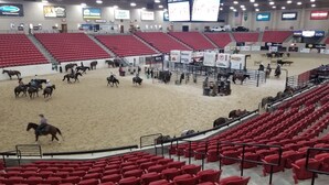 Una arena interior con asientos rojos, suelo de arena y varios caballos y jinetes.