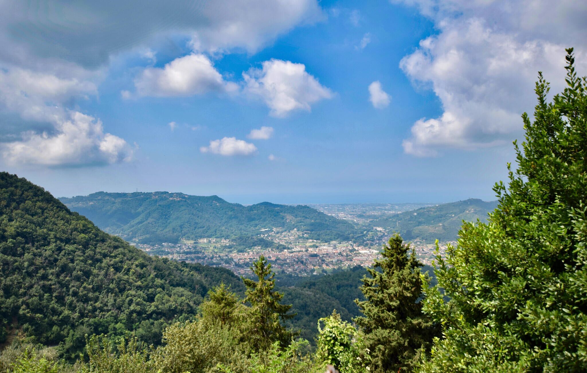 Un paysage montagneux, avec une forêt dense et une ville située au loin.